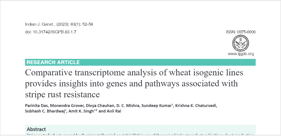 Comparative transcriptome analysis of wheat isogenic lines provides insights into genes and pathways associated with stripe rust resistance.