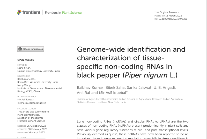 Genome wide identification and characterization of tissue specific non-coding RNAs in Black pepper (Piper nigrum L.)